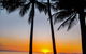 Private Transfers - Cairns Airport To Cairns City - thumb 7