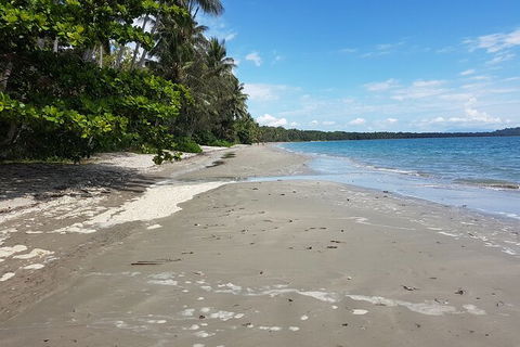 Private Transfers - Cairns Airport To Cairns City - Accommodation Bookings 1