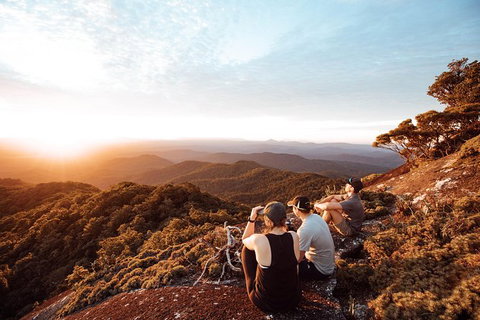 Cairns Rainforest Hiking Experience Incredible Mountains Remote Waterfall - Accommodation Bookings 6