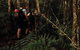 Cairns Rainforest Hiking Experience Incredible Mountains Remote Waterfall - thumb 2