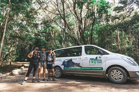 Cairns Rainforest Hiking Experience Incredible Mountains Remote Waterfall - Accommodation Bookings 5