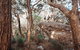 Cairns Rainforest Hiking Experience Incredible Mountains Remote Waterfall - thumb 3