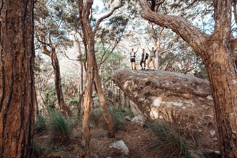 Cairns Rainforest Hiking Experience Incredible Mountains Remote Waterfall - Accommodation Bookings 3