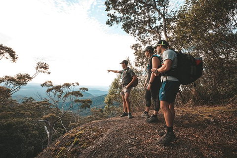 Cairns Rainforest Hiking Experience Incredible Mountains Remote Waterfall - Accommodation Bookings 7