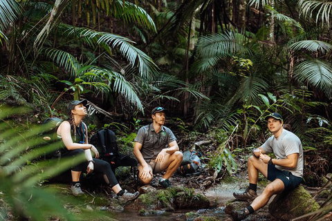 Cairns Rainforest Hiking Experience Incredible Mountains Remote Waterfall - Accommodation Bookings 4