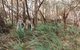 Cairns Rainforest Hiking Experience Incredible Mountains Remote Waterfall - thumb 8