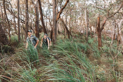 Cairns Rainforest Hiking Experience Incredible Mountains Remote Waterfall - Accommodation Bookings 8
