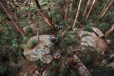Cairns Rainforest Hiking Experience Incredible Mountains Remote Waterfall - Accommodation Bookings 1