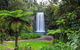 Cairns & Port Douglas All-Inclusive 7 Days Touring Package - thumb 5
