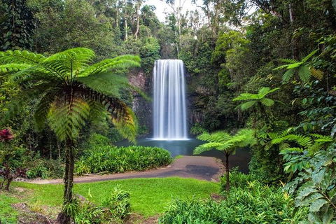 Cairns & Port Douglas All-Inclusive 7 Days Touring Package - Accommodation Bookings 5