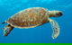 Cairns & Port Douglas All-Inclusive 7 Days Touring Package - thumb 1