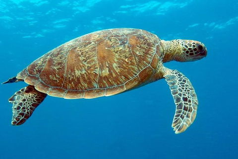 Cairns & Port Douglas All-Inclusive 7 Days Touring Package - Accommodation Bookings 1