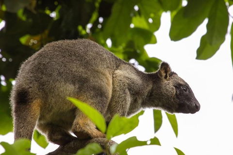 Cairns & Port Douglas All-Inclusive 7 Days Touring Package - Accommodation Bookings 8