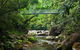 SHUTTLE - Mossman Gorge & Cooya Beach From Port Douglas (Return Transfer) - thumb 4