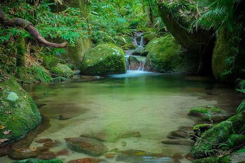SHUTTLE - Mossman Gorge & Cooya Beach From Port Douglas (Return Transfer) - Accommodation Bookings 2