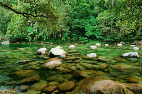 SHUTTLE - Mossman Gorge & Cooya Beach From Port Douglas (Return Transfer) - Accommodation Bookings 3