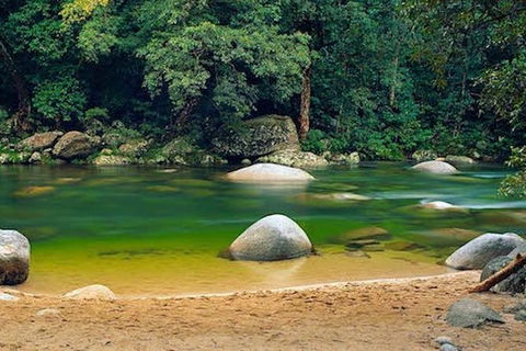 SHUTTLE - Mossman Gorge & Cooya Beach From Port Douglas (Return Transfer) - Accommodation Bookings 1