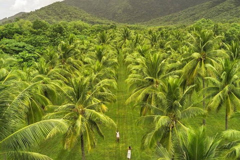 SHUTTLE - Thala Beach And Turtle Cove From Port Douglas (Return Transfer) - Accommodation Bookings 1