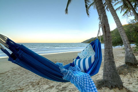 SHUTTLE - Thala Beach And Turtle Cove From Port Douglas (Return Transfer) - Accommodation Bookings 3