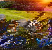 ATV Ride with Petting Zoo Experience in Kuranda from Cairns - Accommodation Bookings