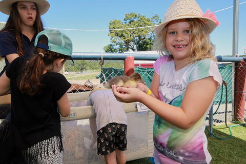 Horse And ATV Riding With A Visit To A Petting Zoo From Cairns - Accommodation Bookings 2