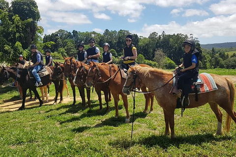 Horse And ATV Riding With A Visit To A Petting Zoo From Cairns - Accommodation Bookings 1
