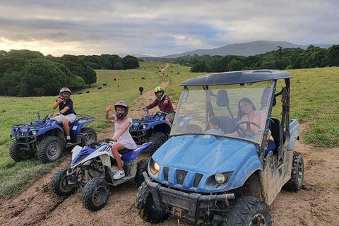 Horse And ATV Riding With A Visit To A Petting Zoo From Cairns - Accommodation Bookings 0