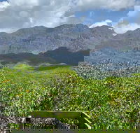 Hinchinbrook Island Tour - Accommodation Bookings