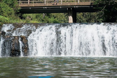 Tablelands Food & Wine Tour - Accommodation Bookings 6