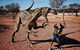 8-Day Outback Experience From Queensland - thumb 14