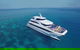 2-Day Great Barrier Reef And Daintree Rainforest Combo Package - thumb 12