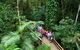 2-Day Great Barrier Reef And Daintree Rainforest Combo Package - thumb 6