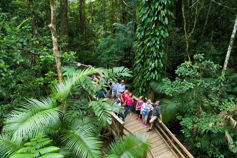 2-Day Great Barrier Reef And Daintree Rainforest Combo Package - Accommodation Bookings 6