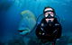 2-Day Great Barrier Reef And Daintree Rainforest Combo Package - thumb 9