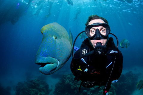 2-Day Great Barrier Reef And Daintree Rainforest Combo Package - Accommodation Bookings 9