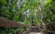 2-Day Great Barrier Reef And Daintree Rainforest Combo Package - thumb 11