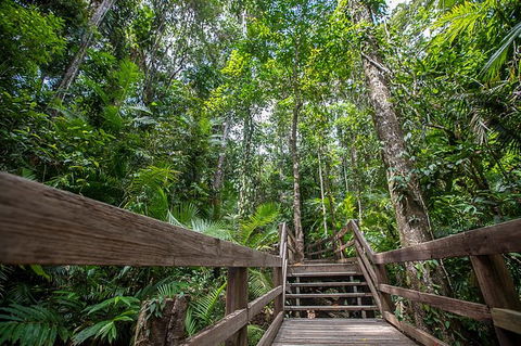 2-Day Great Barrier Reef And Daintree Rainforest Combo Package - Accommodation Bookings 11