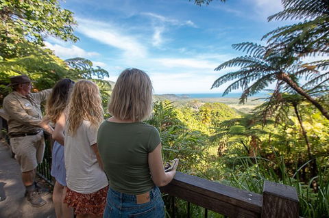 2-Day Great Barrier Reef And Daintree Rainforest Combo Package - Accommodation Bookings 1