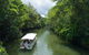 2-Day Great Barrier Reef And Daintree Rainforest Combo Package - thumb 7