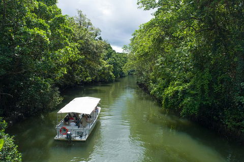 2-Day Great Barrier Reef And Daintree Rainforest Combo Package - Accommodation Bookings 7
