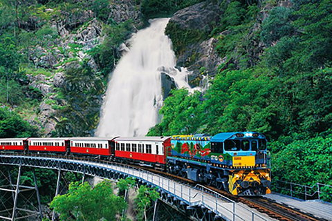 Day Tour To Kuranda, Rainforest And Port Douglas With Flight - Accommodation Bookings 4
