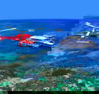 2 Day Reef  Rainforest Adventure - Accommodation Bookings