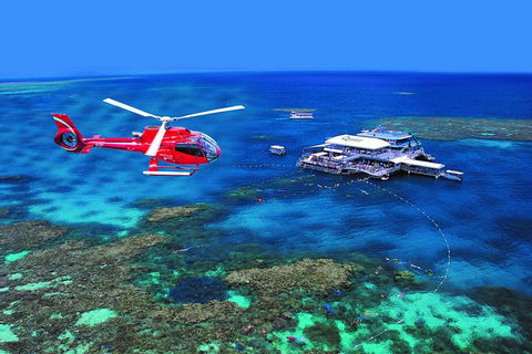 2 Day Reef & Rainforest Adventure - Accommodation Bookings 0