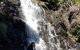 Limited Group Gold Coast Lamington National Park Tour - thumb 7