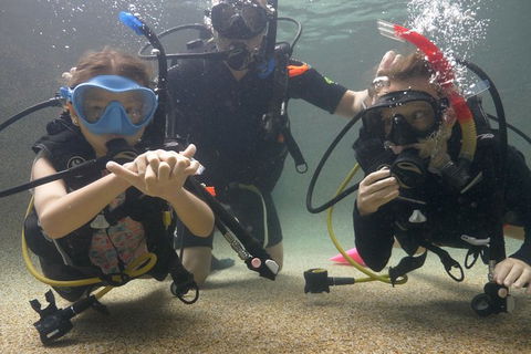 Scuba Kids- Padi Bubblemaker Course - Accommodation Bookings 4