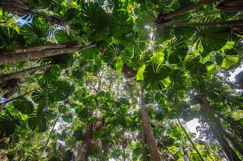5 Day Australia Retreat: Queensland Daintree - Accommodation Bookings 4