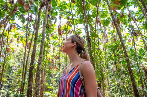 5 Day Australia Retreat: Queensland Daintree - Accommodation Bookings 3