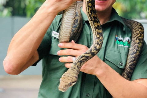 Virtual Interactive Australian Wildlife Tour With Private Guide-Wildlife Habitat - Accommodation Bookings 3