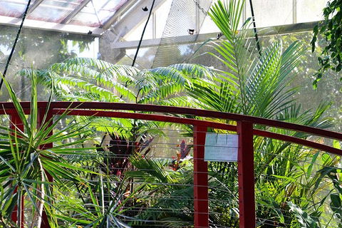 Australian Butterfly Sanctuary- Virtual Interactive Tour With Private Guide - Accommodation Bookings 2