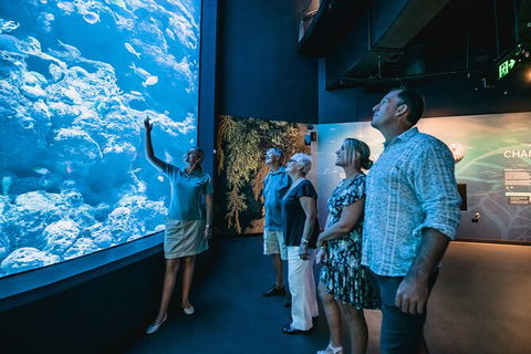 Cairns Aquarium By Twilight With 3 Course Dinner - Accommodation Bookings 0